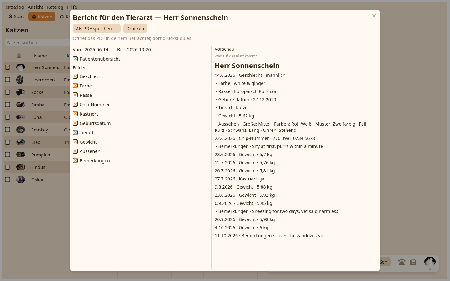 Die Dokumentseite des Tierarztberichts