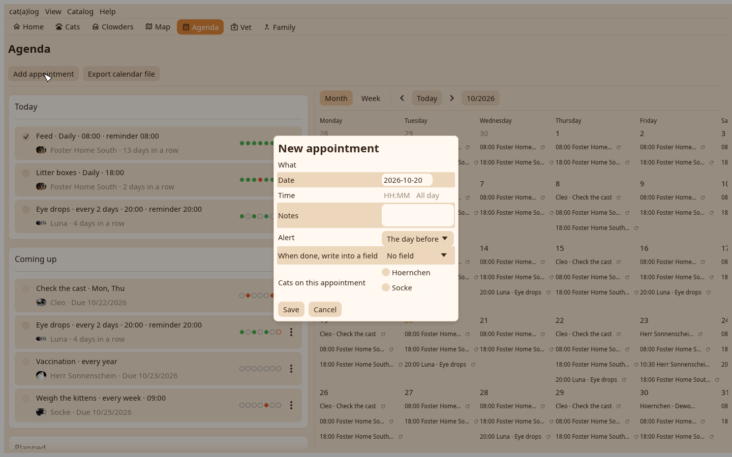The chore editor