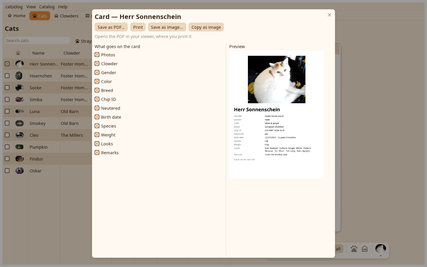 The card document page