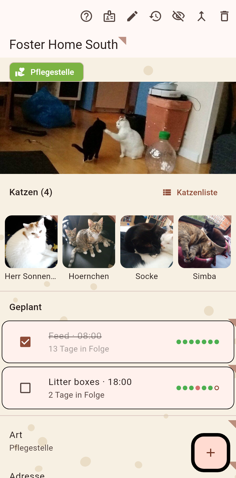 Eine Kolonie