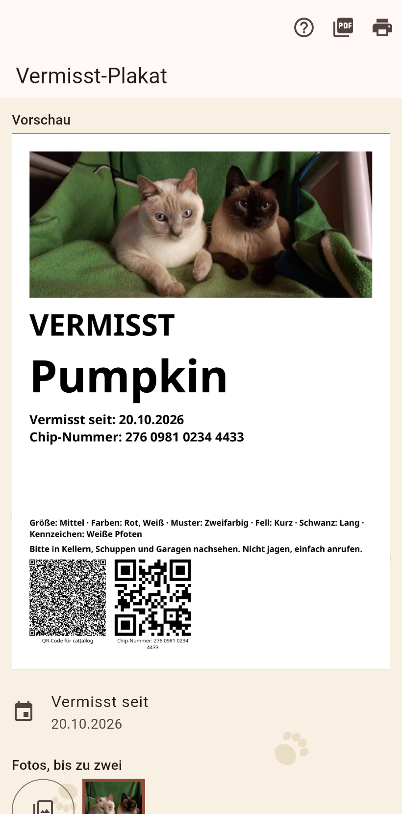 Das Vermisst-Plakat