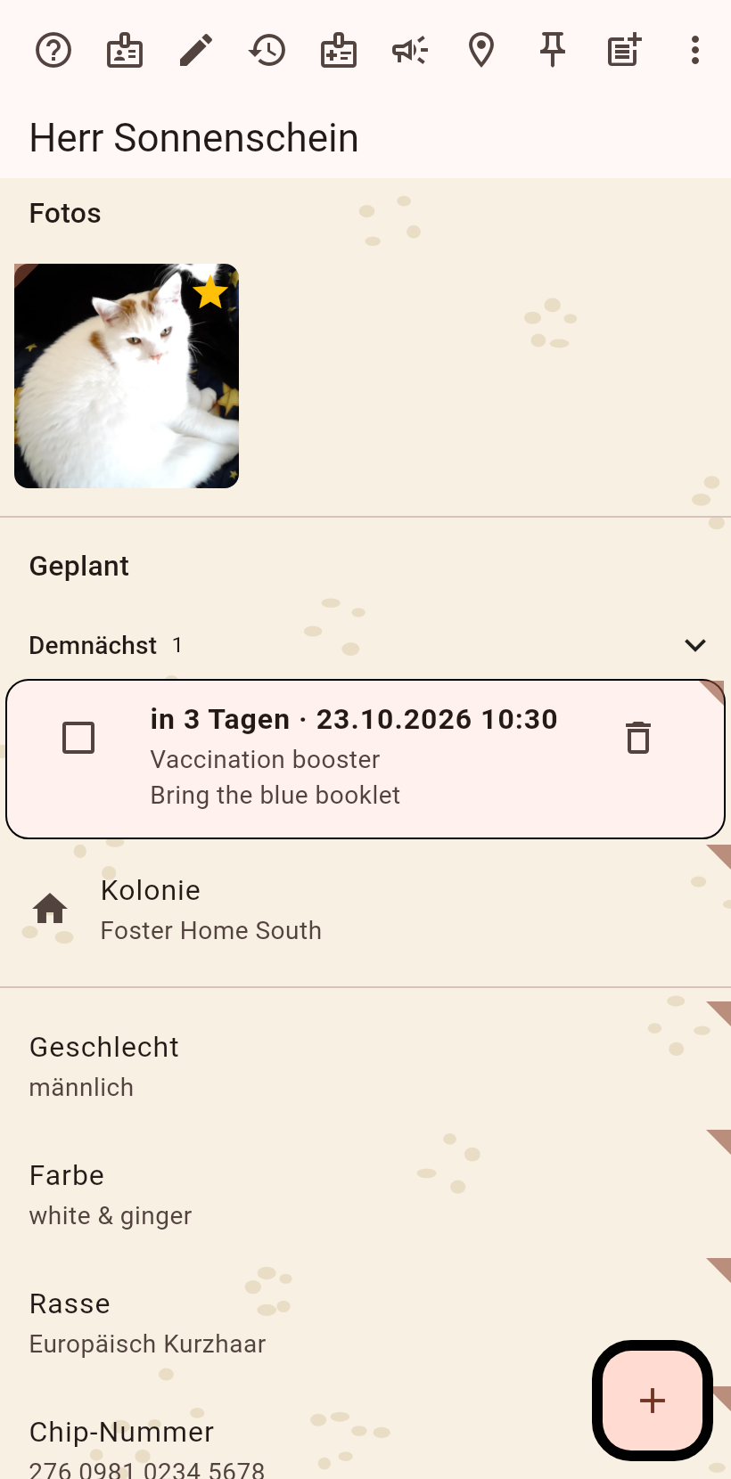 Die Katzenseite im Lesemodus