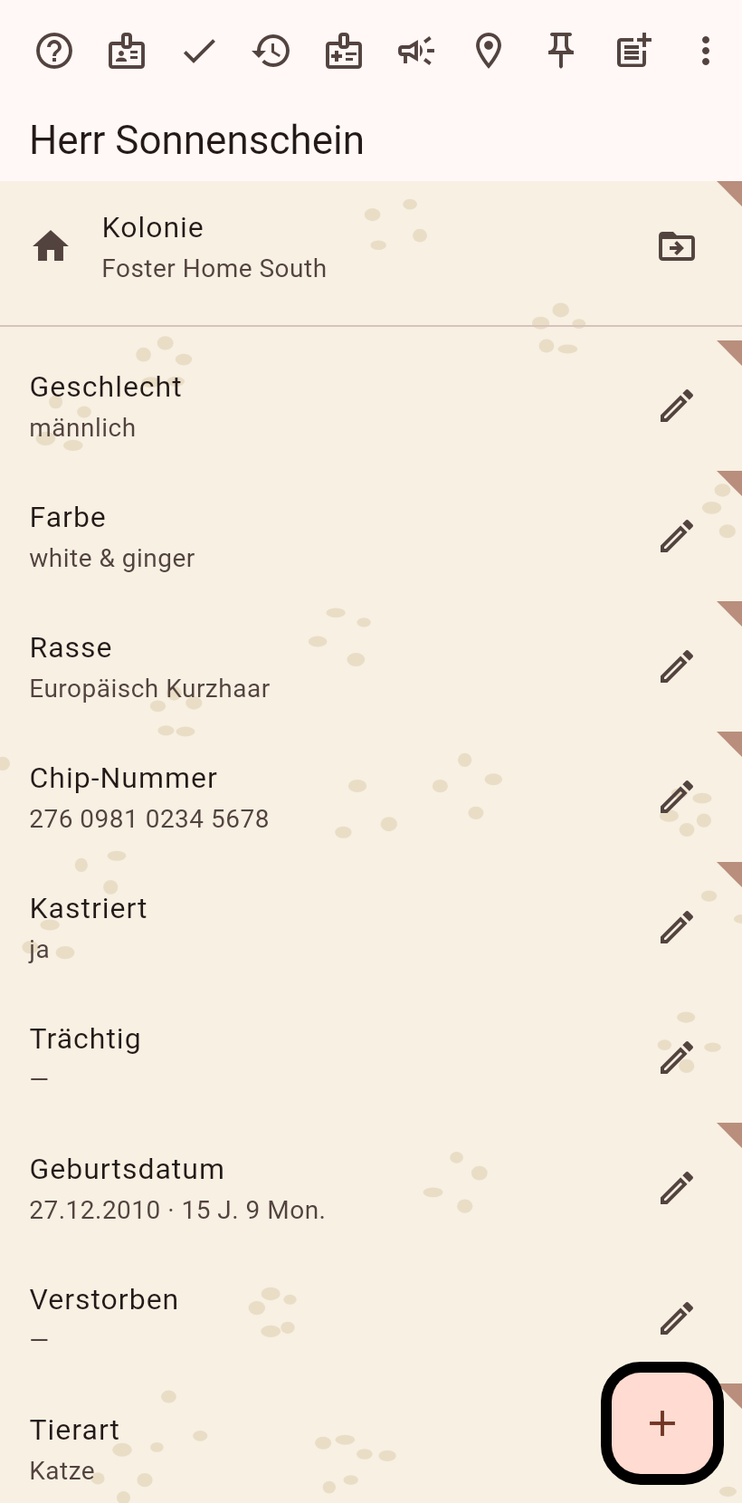 Die Katzenseite im Bearbeitungsmodus
