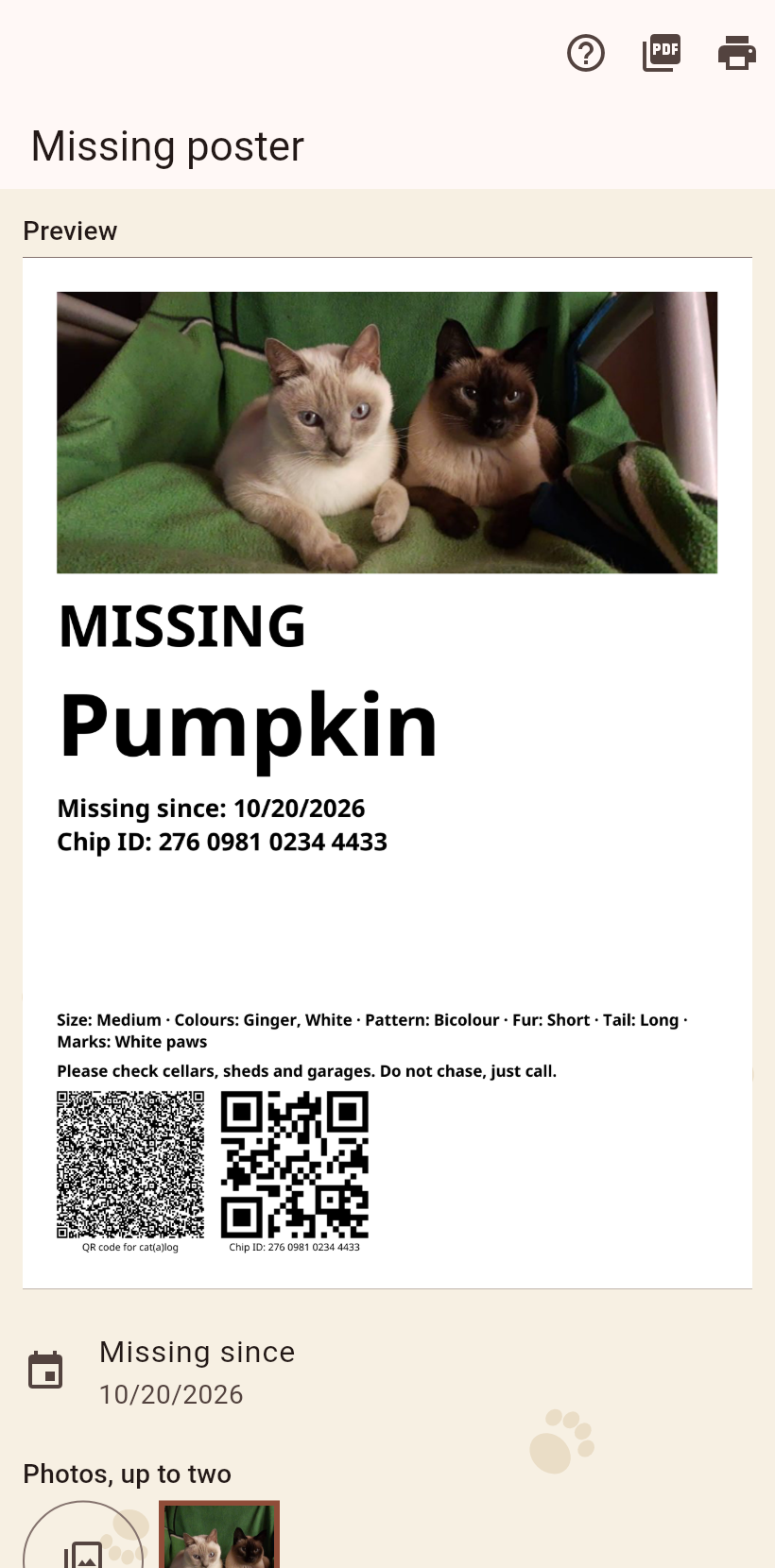 The missing poster