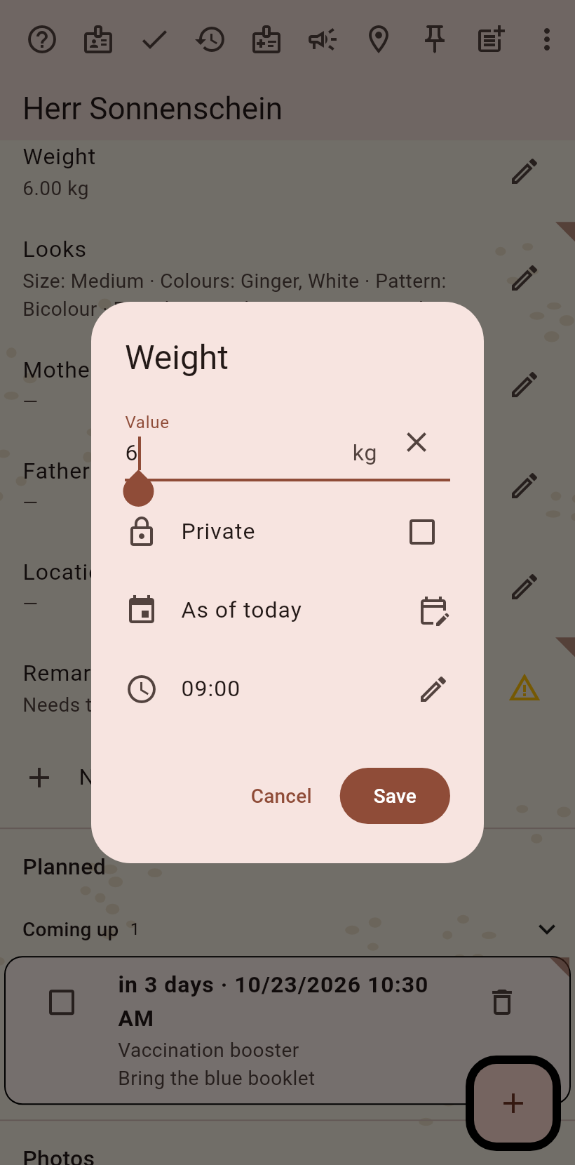 The weight editor