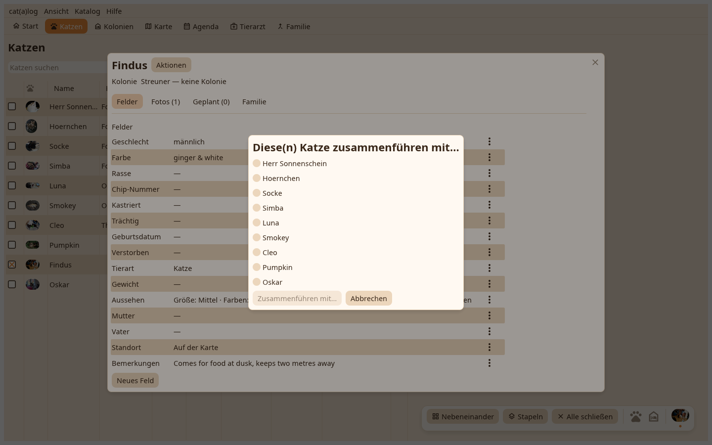 Der Zusammenführen-Dialog