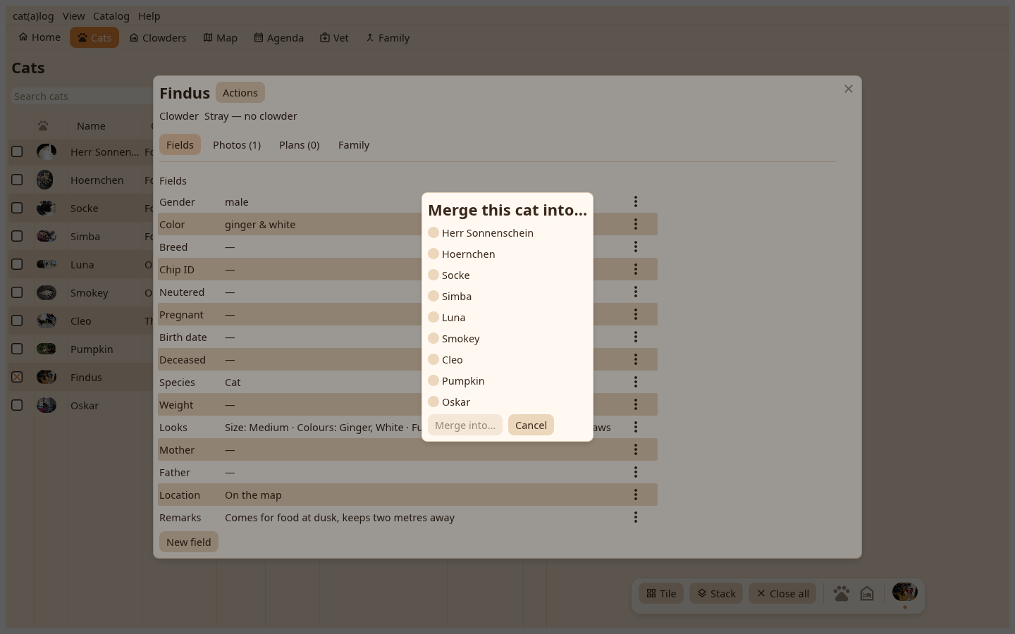 The merge dialog