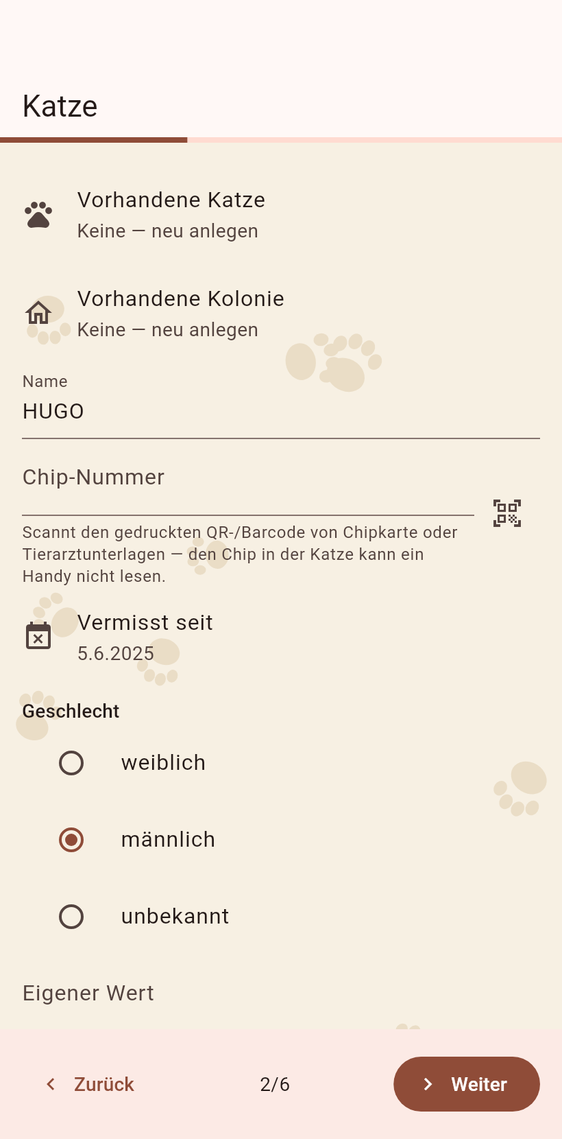 Der Katzenschritt
