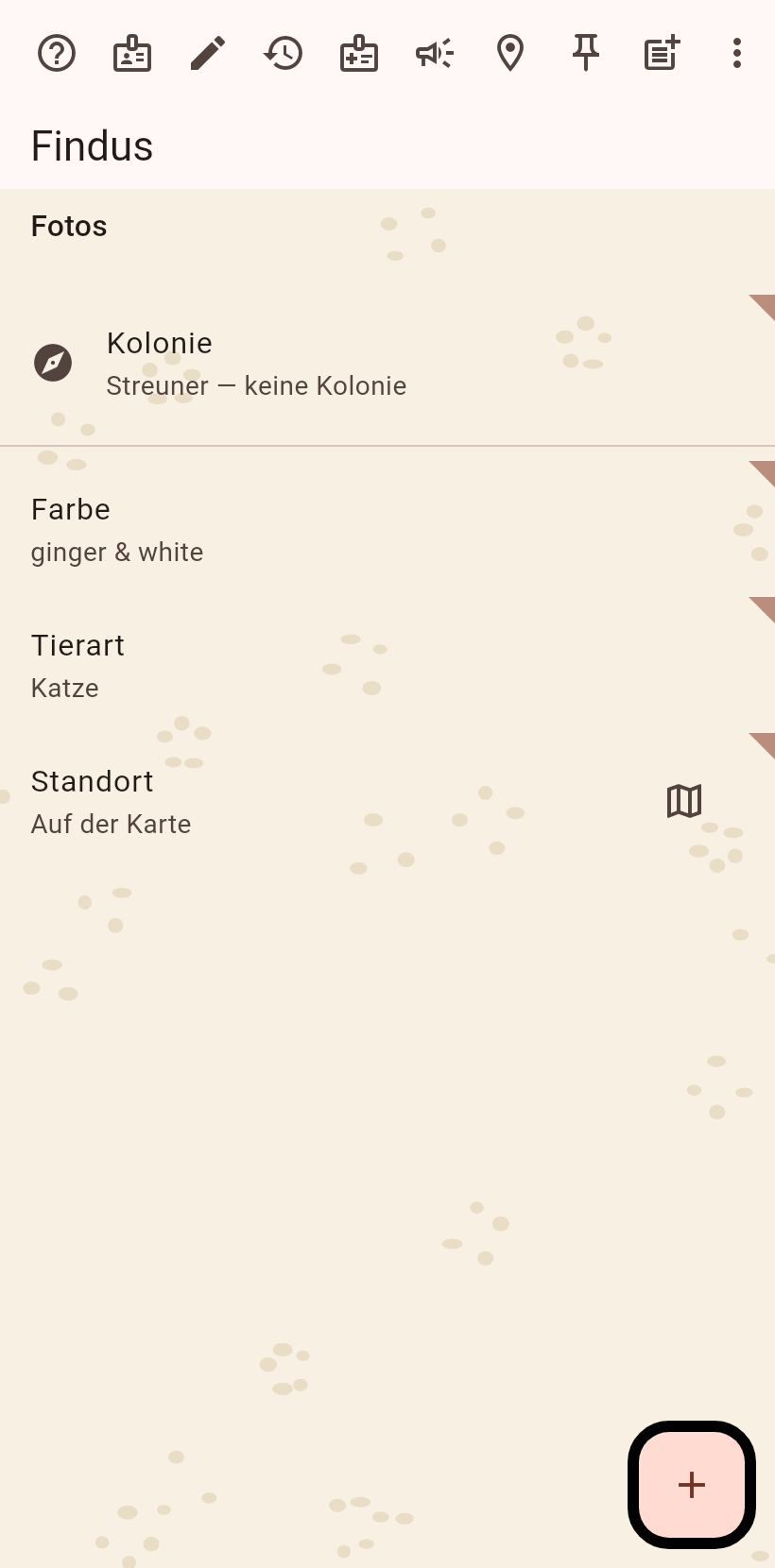 Die Seite der doppelten Katze