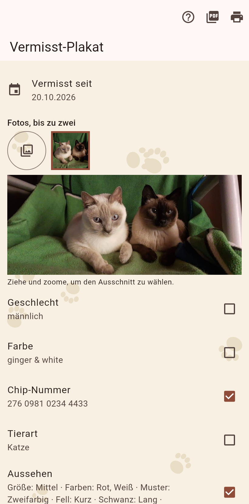 Das Vermisst-Plakat