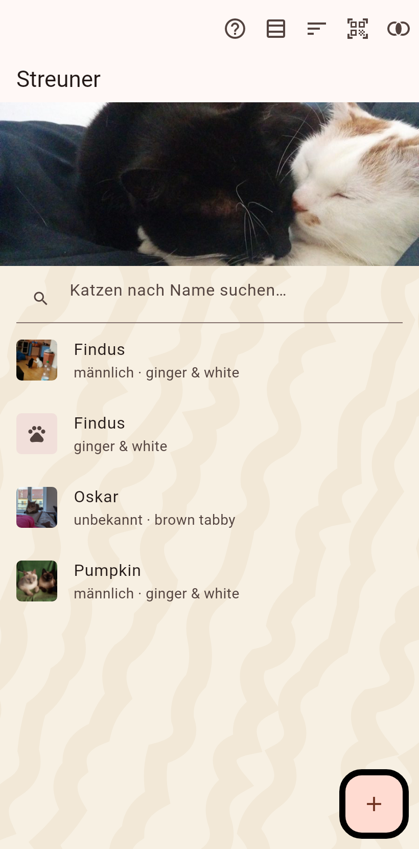 Streuner und die Karte
